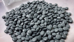 Regina police say amount of fentanyl seized in bust contained 4.5 million lethal doses