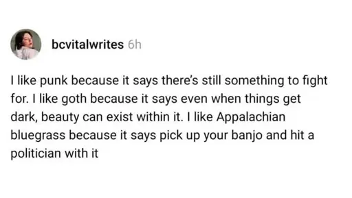 bcvitalwrties writes: I like punk because it says there's still something to fight for. I like goth because it says even when things get dark, beauty can exist within it. I like Appalachian bluegrass because it says pick up your banjo and hit a politician with it