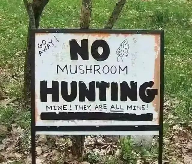 Image: Sign that says "Go Away! No Mushroom Hunting. Mine! They are ALL mine!
