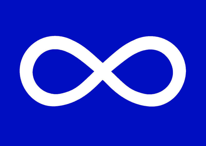 Picture of the Metis Flag