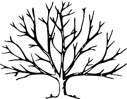 Advanced Scientific Data Format - Wikipedia