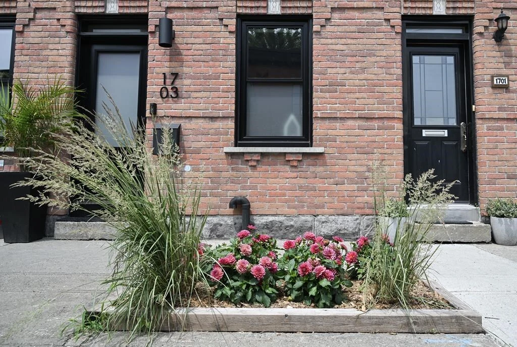 Montreal sidewalks transform into urban oases