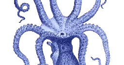 blue octopus