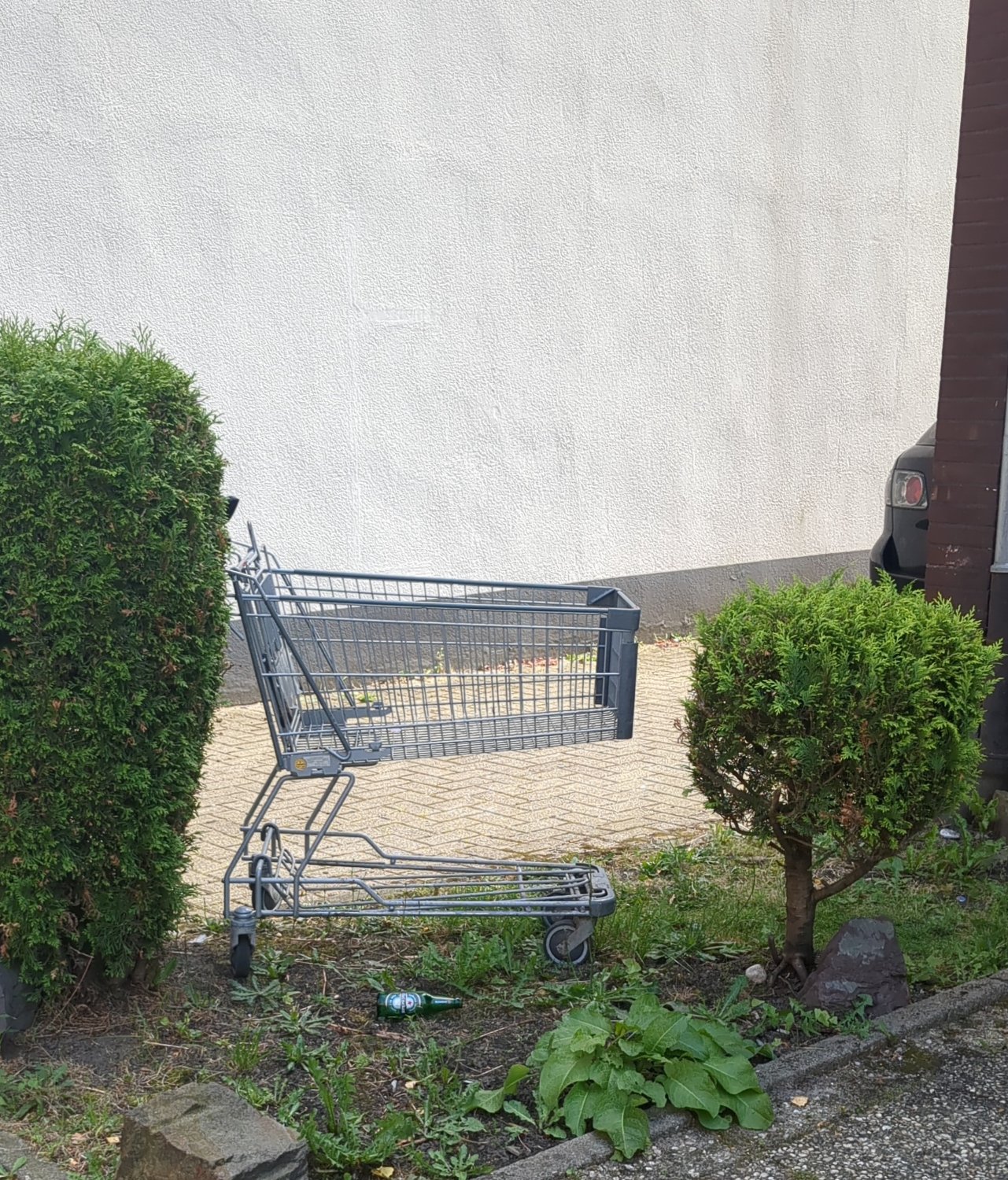 Ein Einkaufswagen zwischen zwei Hecken. Auf dem Rasen, vor dem Einkaufswagen, liegt eine Bierflasche.