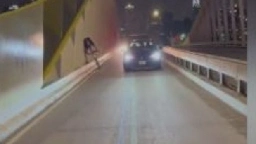 Video shows confused drivers travelling in separated bike lane in Port Lands