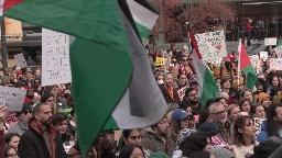 Pro-Palestinian protesters return to Vancouver Art Gallery demanding ceasefire