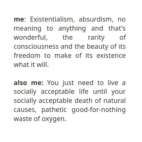 me: Existentialism, absurdism, no meaning to anything and that's wonderful, the rarity of consciousness and its freedom to make of it what it will. / also me: You just need to live a socially acceptable life until your socially acceptable death of natural causes, pathetic good-for-nothing waste of oxygen.