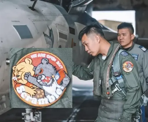 Pooh Fighters