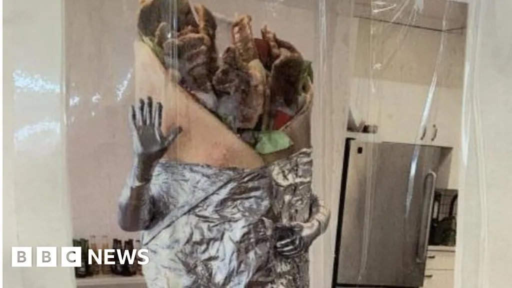 Canadian donair sandwich costume sells for $16,000