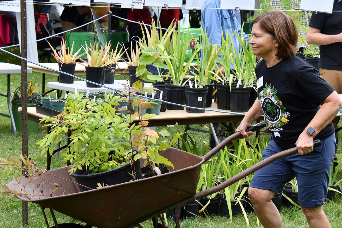 Annual expo set to celebrate plants and people at the Arboretum