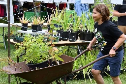 Annual expo set to celebrate plants and people at the Arboretum