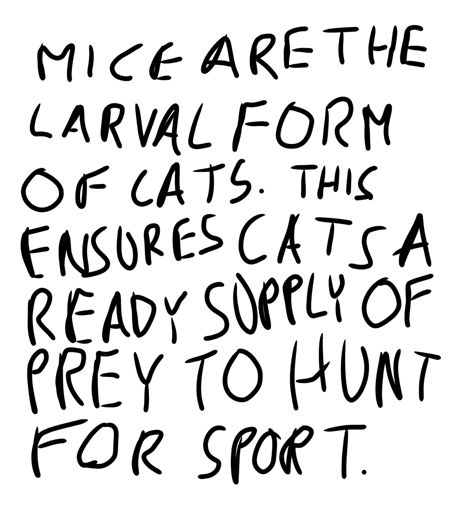 Mice are the larval form of cats. This ensures cats a ready supply of prey to hunt for sport.