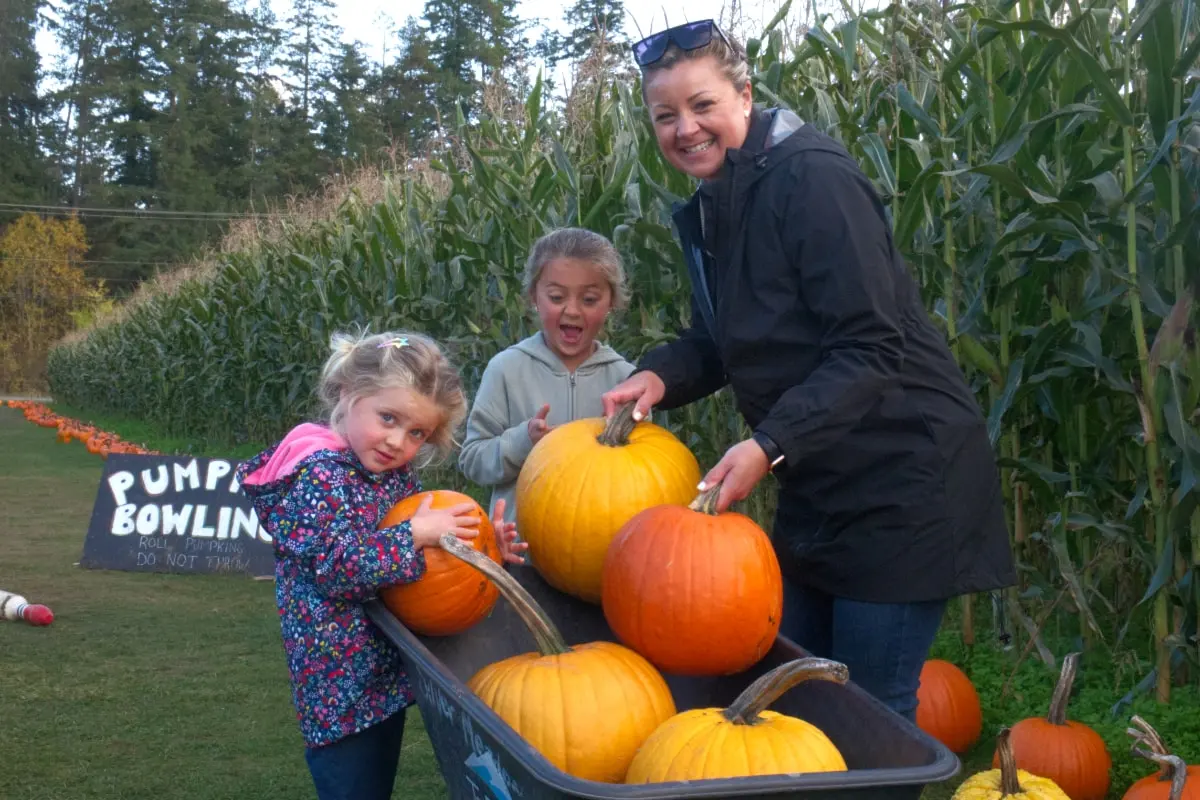 Families enjoy bumper crop at Silver Meadows in Errington