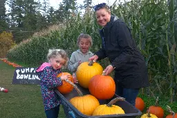 Families enjoy bumper crop at Silver Meadows in Errington