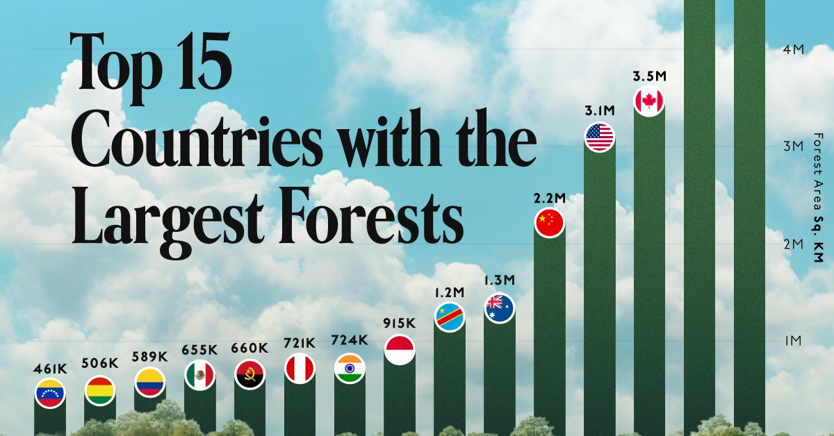 Which Countries Have the Largest Forests?