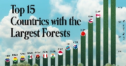 Which Countries Have the Largest Forests?