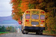 Aussie Bus Driver Fed Up with 'Misbehavior' Dumps 18 Kids on Side of the Road