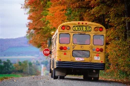 Aussie Bus Driver Fed Up with 'Misbehavior' Dumps 18 Kids on Side of the Road