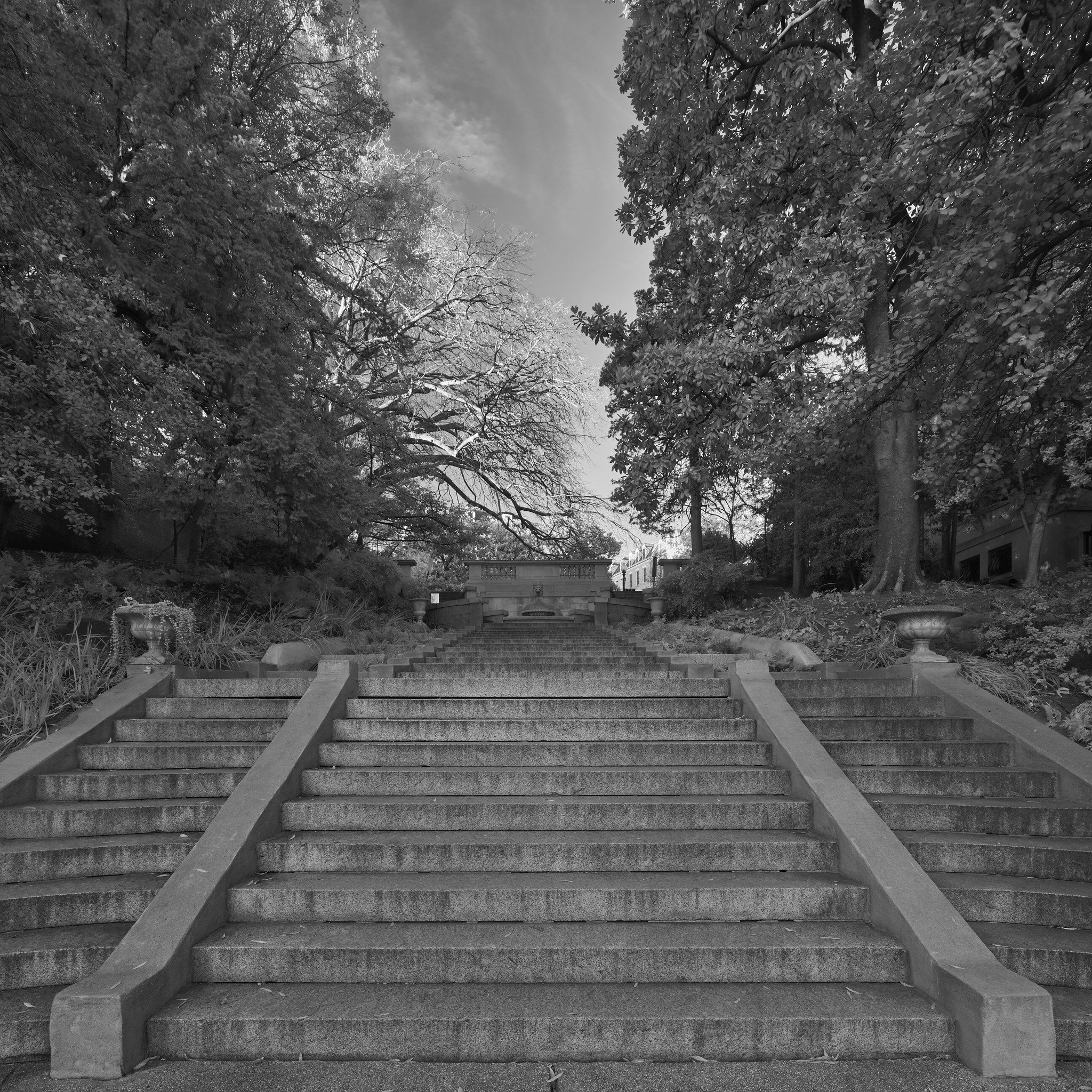 A pedestrian "step street", seen from the bottom, flanked by trees on either side.