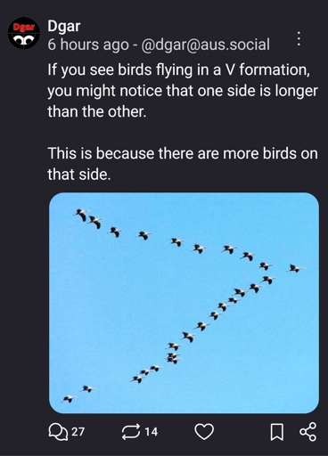 If you see birds flying in a V formation, you might notice that one side is longer than the other. 

This is because there are more birds on that side.