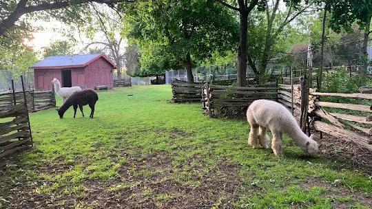 Animals at Eby Farmstead could be moving soon