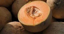 One person dead in cantaloupe salmonella outbreak: PHAC - National | Globalnews.ca