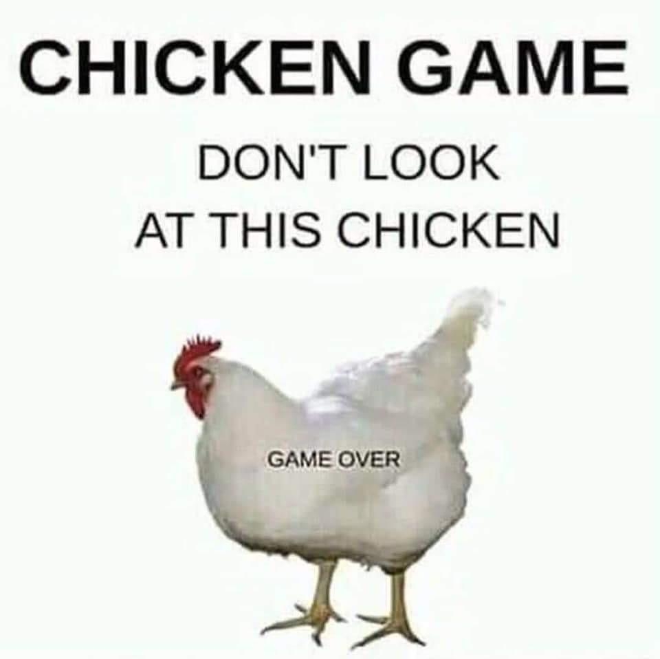 CHICKEN GAME: DONT LOOK AT THIS CHICKEN. Image of chicken: GAME OVER
