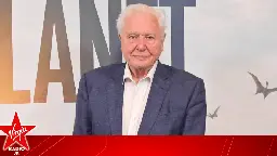 David Attenborough officially has more letters after his name than in it | Virgin Radio UK