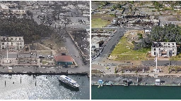 How Lahaina's more than 150-year-old banyan tree is coming back to life after devastating fire