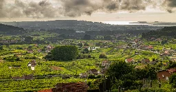 Is Albariño the Next Great White Wine? It Depends.