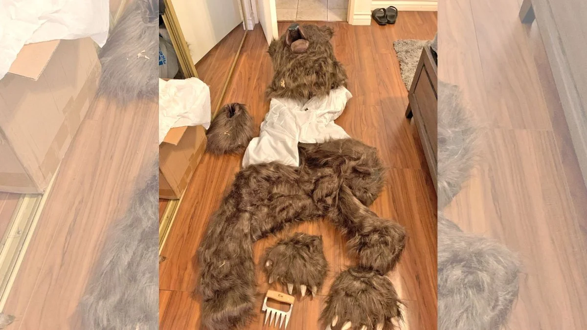 Suspects arrested for faking bear attacks with bear costume – NBC Los Angeles