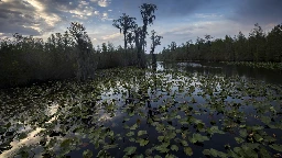 Mining company can't tap water needed for Okefenokee wildlife refuge, US says