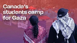 Historic student movement for Gaza reaches Canada  ⋆ The Breach