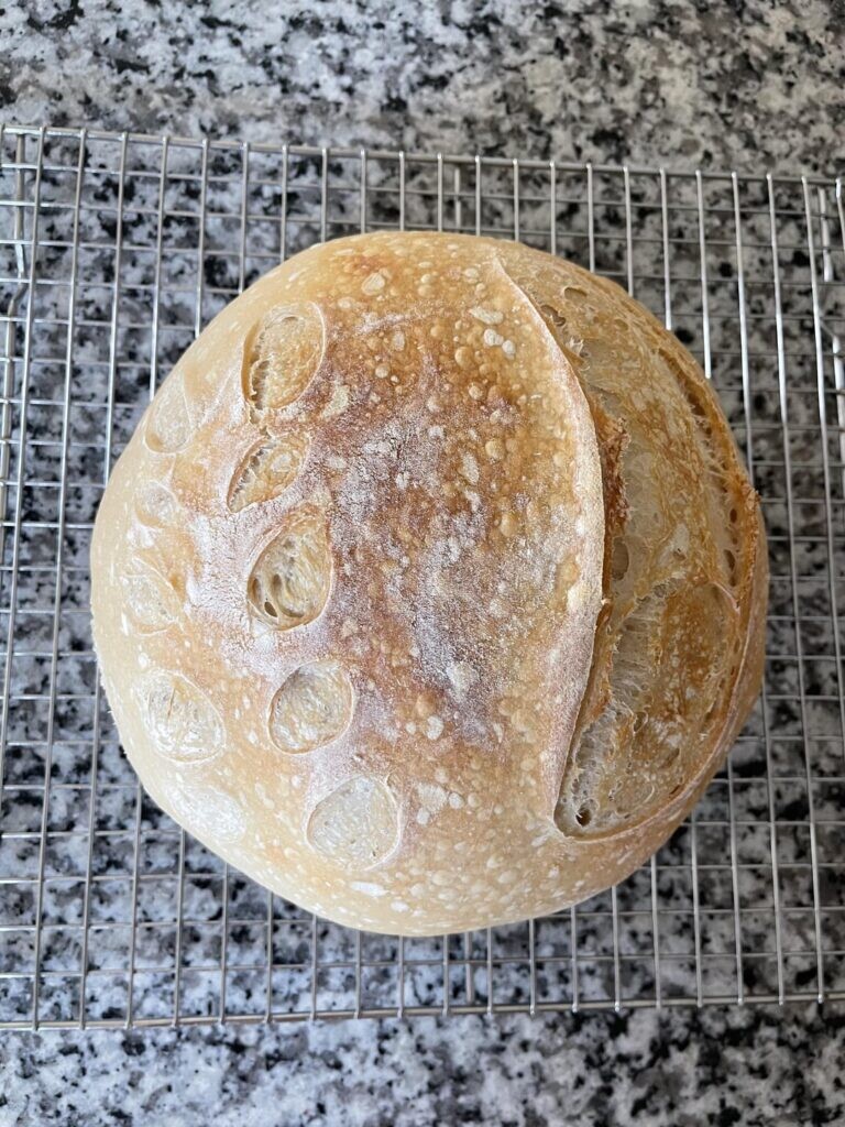 My first loaf! Please give me tips to improve! 