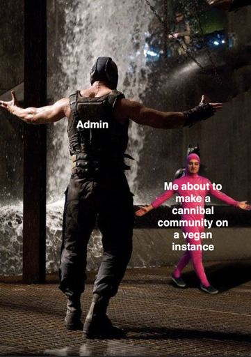 Bane vs. Pink Guy meme in a dark place with Bane with the text "admin" about to fight pink guy with the text "Me about to make a cannibal community on a vegan instance"