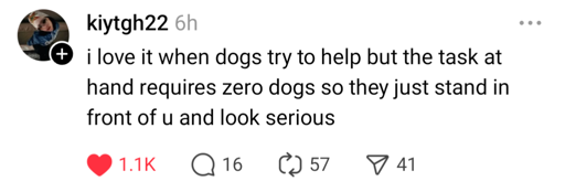 I love it when dogs try to help but the task at hand requires zero dogs so they just kinda stand in front of you and look serious