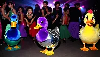 Disco Duck by Rick Dees & His Cast Of Idiots