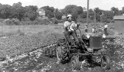 This farm introduced Toronto to gai lan and bok choy 70 years ago. Four generations on and the family keeps the tradition alive