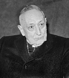 József Mindszenty - Wikipedia