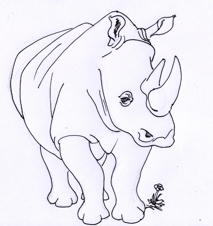 a rhinoceros and a small flower