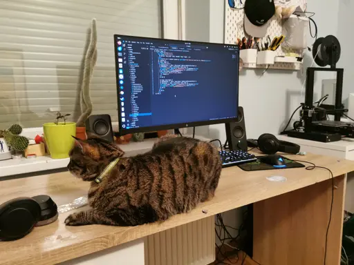 A cat lying on the table next to a monitor with a hugo template file in VSCode