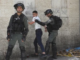 Israeli forces arrest 28 Palestinians in raids in occupied West Bank