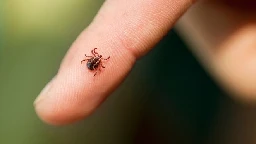 Boy, 9, sick from rare tick-borne virus after camping in northern Ontario