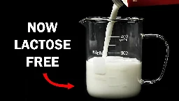 Making milk lactose free
